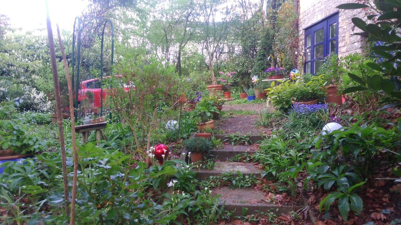 B&B Am Park Rheinfelden Extérieur photo